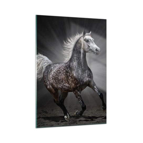 Obraz na szkle - Szare jest piękne - 50x70cm - Zwierzęta Koń Arabski Natura - Nowoczesny szklany obraz do salonu do sypialni ARTTOR ARTTOR