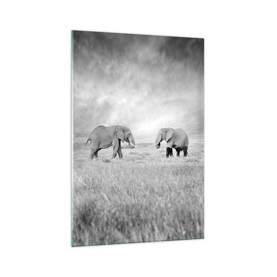 Obraz na szkle - Szare jest piękne - 70x100cm - Słoń Zwierzęta Safari - Nowoczesny foto szklany obraz do salonu do sypialni ARTTOR ARTTOR