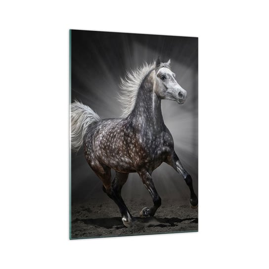 Obraz na szkle - Szare jest piękne - 70x100cm - Zwierzęta Koń Arabski Natura - Nowoczesny foto szklany obraz do salonu do sypialni ARTTOR ARTTOR