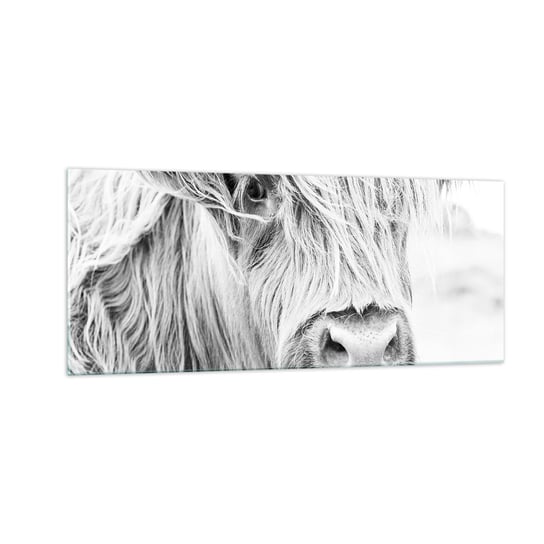 Obraz na szkle - Szkocka dzikość - 100x40cm - Szkocka Krowa Górska Zwierzęta Czarno-Biały - Nowoczesny foto szklany obraz do salonu do sypialni ARTTOR ARTTOR
