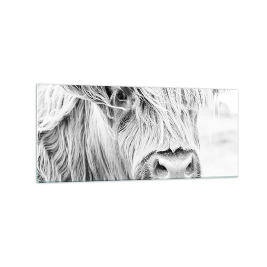Obraz na szkle - Szkocka dzikość - 120x50cm - Szkocka Krowa Górska Zwierzęta Czarno-Biały - Nowoczesny szklany obraz na ścianę do salonu do sypialni ARTTOR ARTTOR
