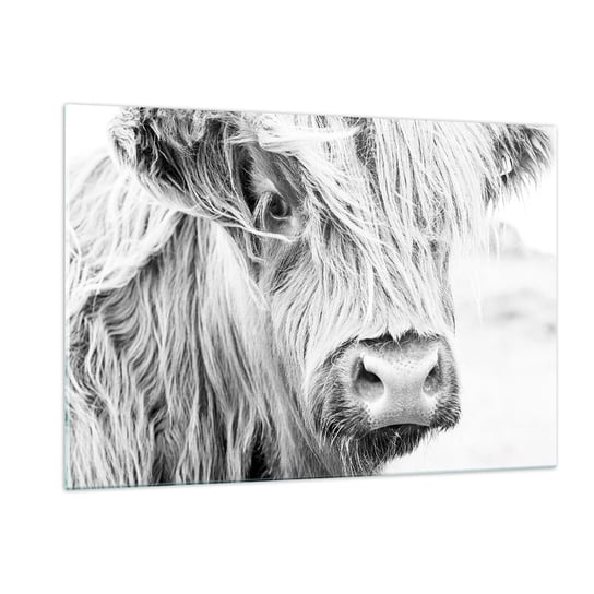 Obraz na szkle - Szkocka dzikość - 120x80cm - Szkocka Krowa Górska Zwierzęta Czarno-Biały - Nowoczesny szklany obraz na ścianę do salonu do sypialni ARTTOR ARTTOR