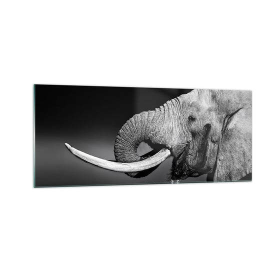 Obraz na szkle - Tak, teraz dobrze - 100x40cm - Zwierzęta Słoń Afryka - Nowoczesny foto szklany obraz do salonu do sypialni ARTTOR ARTTOR
