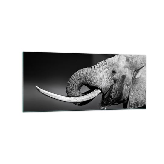 Obraz na szkle - Tak, teraz dobrze - 120x50cm - Zwierzęta Słoń Afryka - Nowoczesny szklany obraz na ścianę do salonu do sypialni ARTTOR ARTTOR