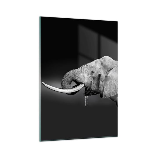 Obraz na szkle - Tak, teraz dobrze - 50x70cm - Zwierzęta Słoń Afryka - Nowoczesny szklany obraz do salonu do sypialni ARTTOR ARTTOR