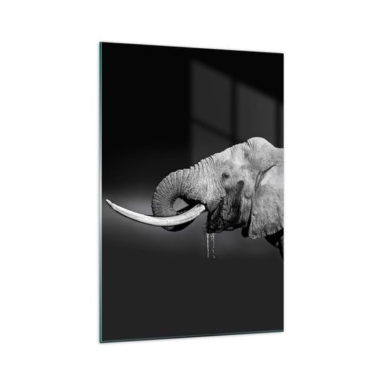 Obraz na szkle - Tak, teraz dobrze - 70x100cm - Zwierzęta Słoń Afryka - Nowoczesny foto szklany obraz do salonu do sypialni ARTTOR ARTTOR