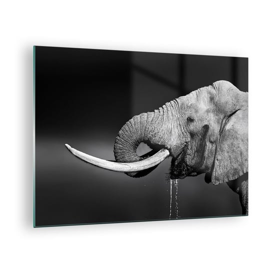 Obraz na szkle - Tak, teraz dobrze - 70x50cm - Zwierzęta Słoń Afryka - Nowoczesny szklany obraz do salonu do sypialni ARTTOR ARTTOR