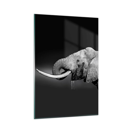 Obraz na szkle - Tak, teraz dobrze - 80x120cm - Zwierzęta Słoń Afryka - Nowoczesny szklany obraz na ścianę do salonu do sypialni ARTTOR ARTTOR