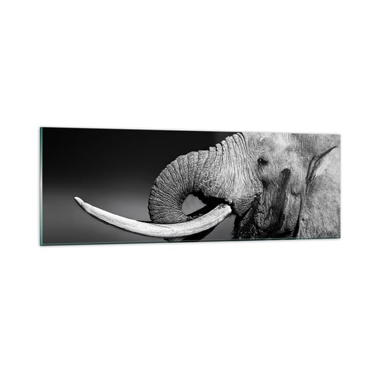 Obraz na szkle - Tak, teraz dobrze - 90x30cm - Zwierzęta Słoń Afryka - Nowoczesny szklany obraz do salonu do sypialni ARTTOR ARTTOR
