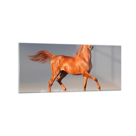 Obraz na szkle - Tańcząca gracja - 120x50cm - Zwierzęta Koń Natura - Nowoczesny szklany obraz na ścianę do salonu do sypialni ARTTOR ARTTOR