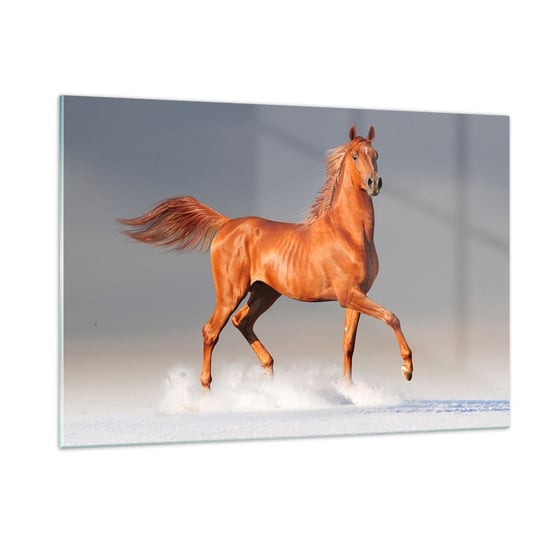 Obraz na szkle - Tańcząca gracja - 120x80cm - Zwierzęta Koń Natura - Nowoczesny szklany obraz na ścianę do salonu do sypialni ARTTOR ARTTOR