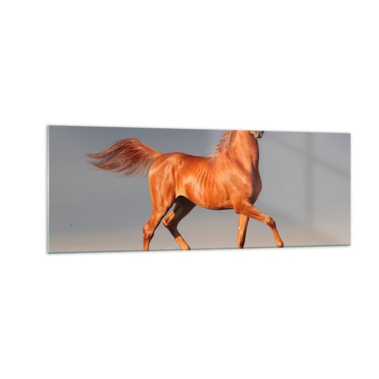 Obraz na szkle - Tańcząca gracja - 140x50cm - Zwierzęta Koń Natura - Nowoczesny szklany obraz do salonu do sypialni ARTTOR ARTTOR