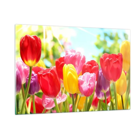 Obraz na szkle - To my, kolory maja! - 120x80cm - Kwiaty Tulipany Ogród - Nowoczesny szklany obraz na ścianę do salonu do sypialni ARTTOR ARTTOR