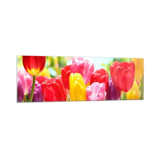 Obraz na szkle - To my, kolory maja! - 160x50cm - Kwiaty Tulipany Ogród - Nowoczesny foto szklany obraz do salonu do sypialni ARTTOR ARTTOR