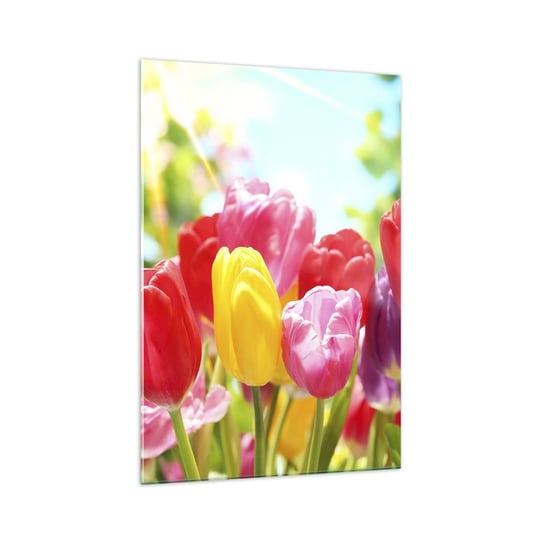 Obraz na szkle - To my, kolory maja! - 70x100cm - Kwiaty Tulipany Ogród - Nowoczesny foto szklany obraz do salonu do sypialni ARTTOR ARTTOR