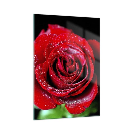 Obraz na szkle - To właśnie miłość - 50x70cm - Kwiaty Czerwona Róża Płatki Róży - Nowoczesny szklany obraz do salonu do sypialni ARTTOR ARTTOR