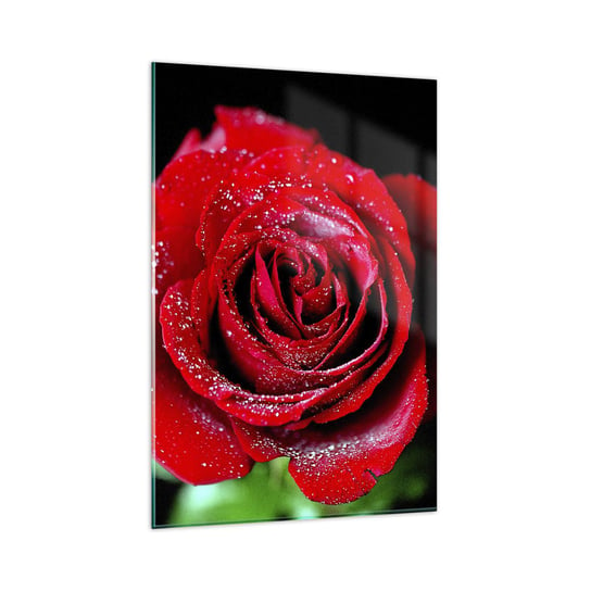 Obraz na szkle - To właśnie miłość - 80x120cm - Kwiaty Czerwona Róża Płatki Róży - Nowoczesny szklany obraz na ścianę do salonu do sypialni ARTTOR ARTTOR