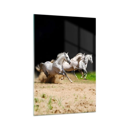 Obraz na szkle - Trzy Gracje - 70x100cm - Konie Zwierzęta Galop - Nowoczesny foto szklany obraz do salonu do sypialni ARTTOR ARTTOR