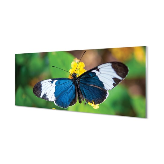 Obraz na szkle TULUP Kolorowy motyl na kwiatach, 125x50 cm Tulup