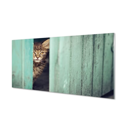 Obraz na szkle TULUP Zaglądający kot, 100x50 cm cm Tulup