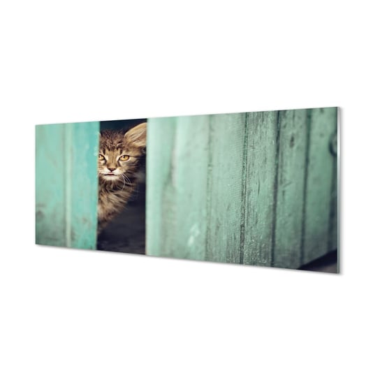 Obraz na szkle TULUP Zaglądający kot, 125x50 cm Tulup