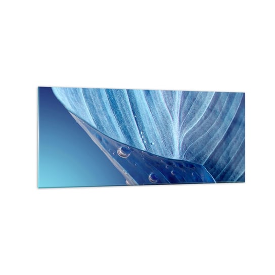 Obraz na szkle - Ukryte krople błękitu - 120x50cm - Liść Roślina Natura - Nowoczesny szklany obraz na ścianę do salonu do sypialni ARTTOR ARTTOR