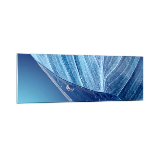 Obraz na szkle - Ukryte krople błękitu - 90x30cm - Liść Roślina Natura - Nowoczesny szklany obraz do salonu do sypialni ARTTOR ARTTOR