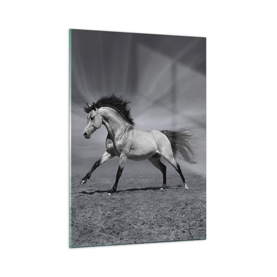 Obraz na szkle - Urodzony, by zachwycać - 50x70cm - Zwierzęta Koń Natura - Nowoczesny szklany obraz do salonu do sypialni ARTTOR ARTTOR