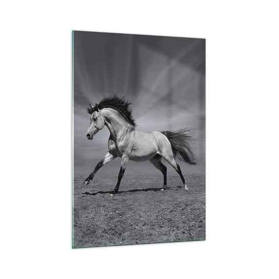 Obraz na szkle - Urodzony, by zachwycać - 70x100cm - Zwierzęta Koń Natura - Nowoczesny foto szklany obraz do salonu do sypialni ARTTOR ARTTOR