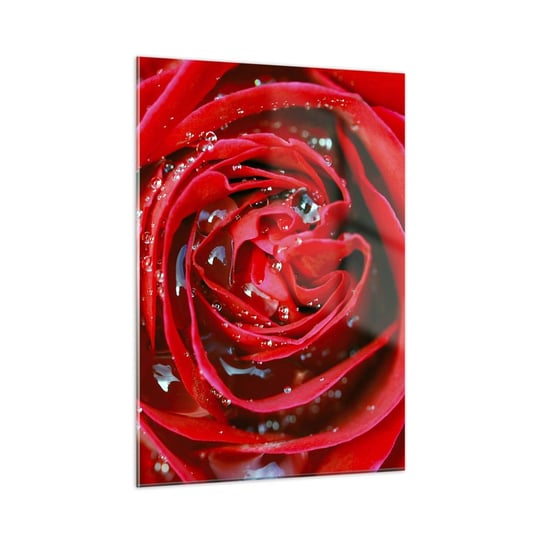 Obraz na szkle - W kroplach rosy - 50x70cm - Kwiaty Czerwona Róża Miłość - Nowoczesny szklany obraz do salonu do sypialni ARTTOR ARTTOR