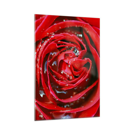 Obraz na szkle - W kroplach rosy - 80x120cm - Kwiaty Czerwona Róża Miłość - Nowoczesny szklany obraz na ścianę do salonu do sypialni ARTTOR ARTTOR