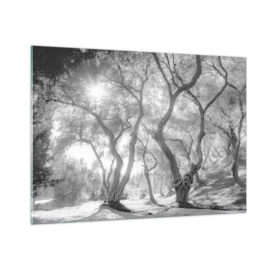 Obraz na szkle - W oliwnym gaju - 100x70cm - Las Zima Drzewa - Nowoczesny foto szklany obraz do salonu do sypialni ARTTOR ARTTOR