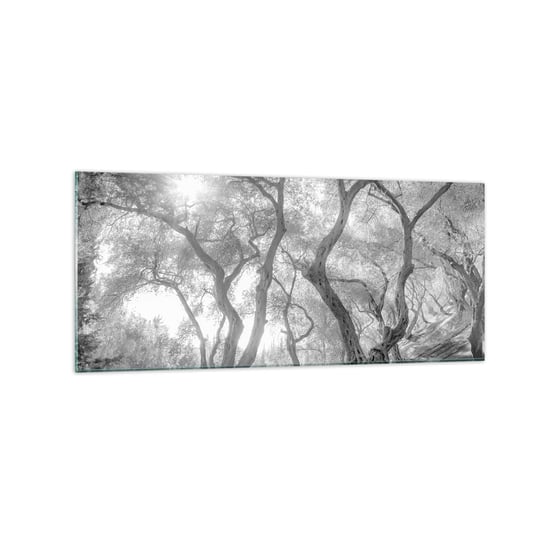 Obraz na szkle - W oliwnym gaju - 120x50cm - Las Zima Drzewa - Nowoczesny szklany obraz na ścianę do salonu do sypialni ARTTOR ARTTOR