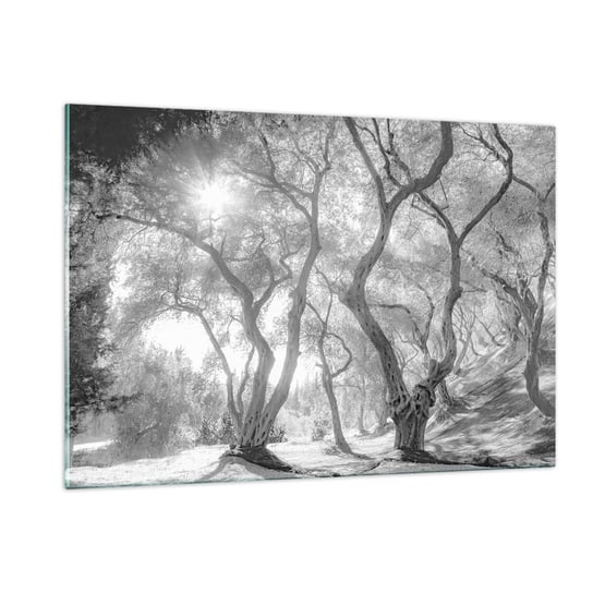 Obraz na szkle - W oliwnym gaju - 120x80cm - Las Zima Drzewa - Nowoczesny szklany obraz na ścianę do salonu do sypialni ARTTOR ARTTOR