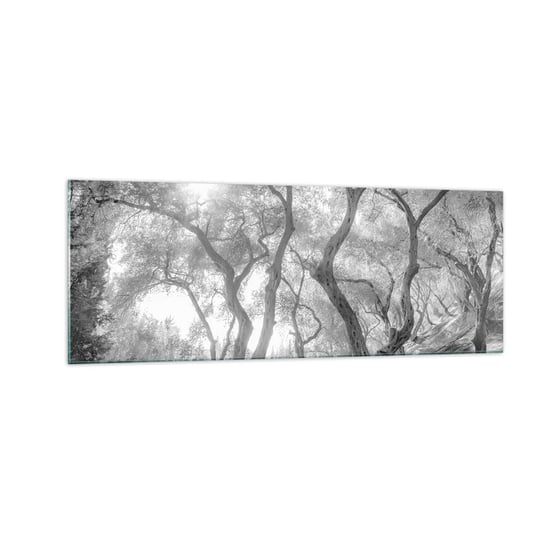 Obraz na szkle - W oliwnym gaju - 140x50cm - Las Zima Drzewa - Nowoczesny szklany obraz do salonu do sypialni ARTTOR ARTTOR