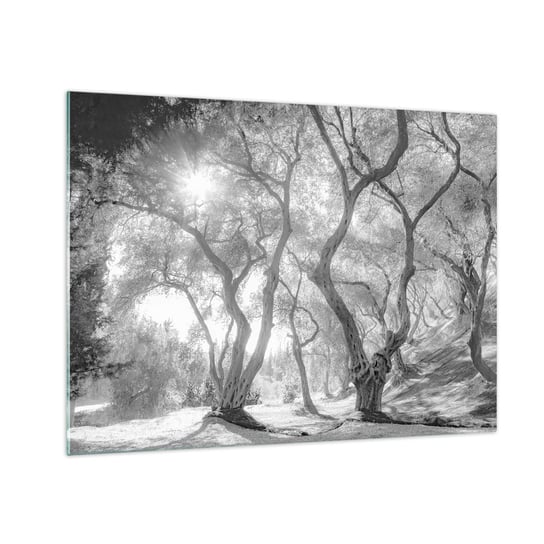 Obraz na szkle - W oliwnym gaju - 70x50cm - Las Zima Drzewa - Nowoczesny szklany obraz do salonu do sypialni ARTTOR ARTTOR