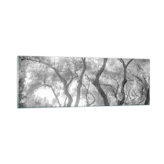 Obraz na szkle - W oliwnym gaju - 90x30cm - Las Zima Drzewa - Nowoczesny szklany obraz do salonu do sypialni ARTTOR ARTTOR