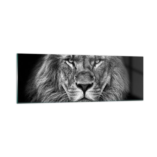 Obraz na szkle - W stroju koronacyjnym - 90x30cm - Zwierzęta Lew Czarno-Biały - Nowoczesny szklany obraz do salonu do sypialni ARTTOR ARTTOR