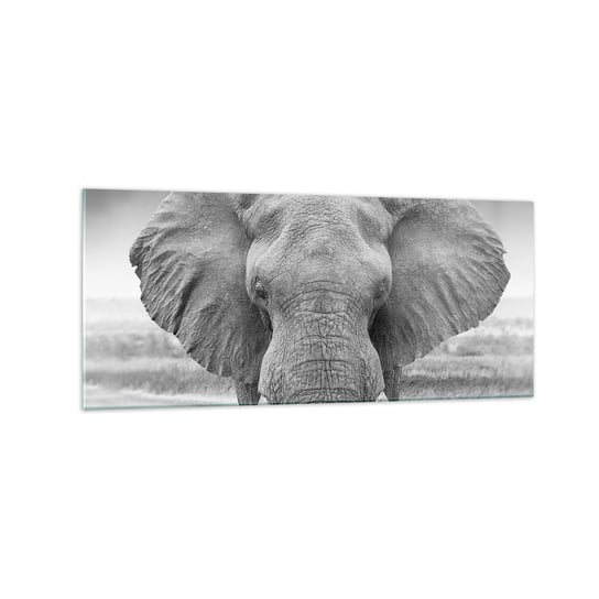 Obraz na szkle - Witaj w moim świecie - 120x50cm - Słoń Afryka Zwierzęta - Nowoczesny szklany obraz na ścianę do salonu do sypialni ARTTOR ARTTOR