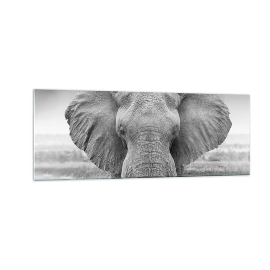 Obraz na szkle - Witaj w moim świecie - 140x50cm - Słoń Afryka Zwierzęta - Nowoczesny szklany obraz do salonu do sypialni ARTTOR ARTTOR