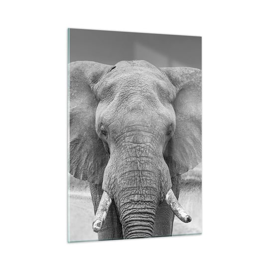 Obraz na szkle - Witaj w moim świecie - 50x70cm - Słoń Afryka Zwierzęta - Nowoczesny szklany obraz do salonu do sypialni ARTTOR ARTTOR