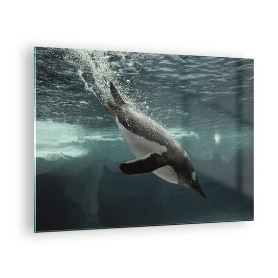 Obraz na szkle - Witaj w moim świecie - 70x50cm - Pingwin Zwierzęta Natura - Nowoczesny szklany obraz do salonu do sypialni ARTTOR ARTTOR