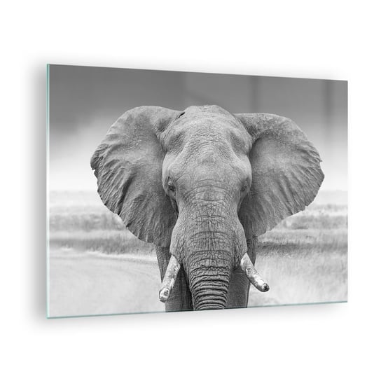 Obraz na szkle - Witaj w moim świecie - 70x50cm - Słoń Afryka Zwierzęta - Nowoczesny szklany obraz do salonu do sypialni ARTTOR ARTTOR