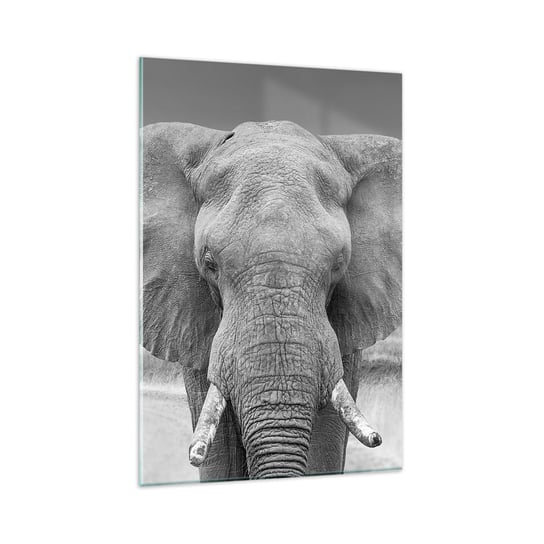 Obraz na szkle - Witaj w moim świecie - 80x120cm - Słoń Afryka Zwierzęta - Nowoczesny szklany obraz na ścianę do salonu do sypialni ARTTOR ARTTOR