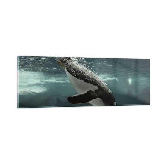 Obraz na szkle - Witaj w moim świecie - 90x30cm - Pingwin Zwierzęta Natura - Nowoczesny szklany obraz do salonu do sypialni ARTTOR ARTTOR