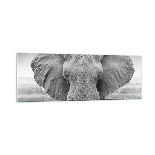 Obraz na szkle - Witaj w moim świecie - 90x30cm - Słoń Afryka Zwierzęta - Nowoczesny szklany obraz do salonu do sypialni ARTTOR ARTTOR