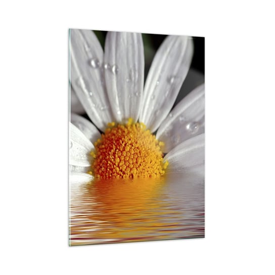 Obraz na szkle - Wschodzące słońce margaretki - 50x70cm - Kwiat Rumianek Natura - Nowoczesny szklany obraz do salonu do sypialni ARTTOR ARTTOR