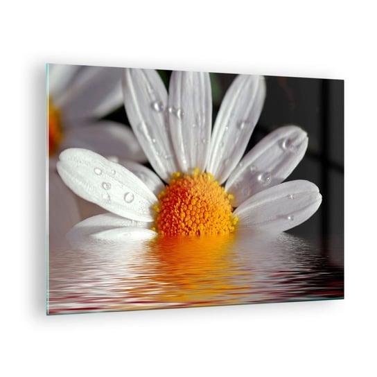 Obraz na szkle - Wschodzące słońce margaretki - 70x50cm - Kwiat Rumianek Natura - Nowoczesny szklany obraz do salonu do sypialni ARTTOR ARTTOR