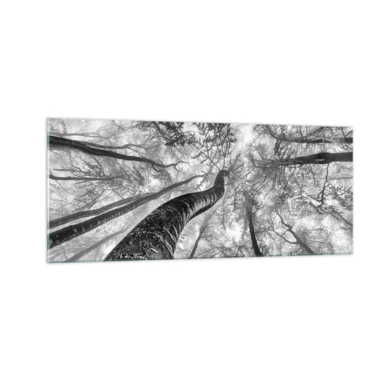 Obraz na szkle - Wyścig do światła - 100x40cm - Las Drzewa Natura - Nowoczesny foto szklany obraz do salonu do sypialni ARTTOR ARTTOR