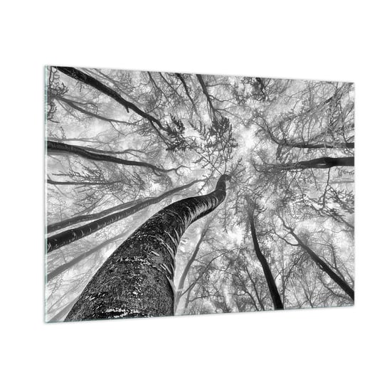 Obraz na szkle - Wyścig do światła - 100x70cm - Las Drzewa Natura - Nowoczesny foto szklany obraz do salonu do sypialni ARTTOR ARTTOR